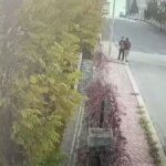 Kendisini polis olarak tanıttığı bayanı 6 milyon lira dolandıran kuşkulu tutuklandı