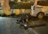 Ataşehir’de yolcu servisine çarpan motosikletteki 2 kişi yaralandı