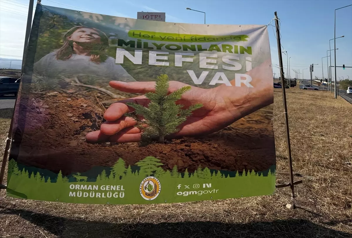 Cizre’de havalimanı yoluna fidan dikildi
