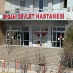 Tartıştığı kayınpederi ve kayınbiraderini öldürdü
