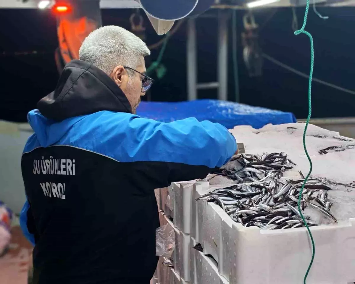 Gelibolu’da 45 kilo balığa el konuldu, 37 bin 770 lira para cezası kesildi Gelibolu’da 45 kilo balığa el konuldu, 37 bin 770 lira para cezası kesildi